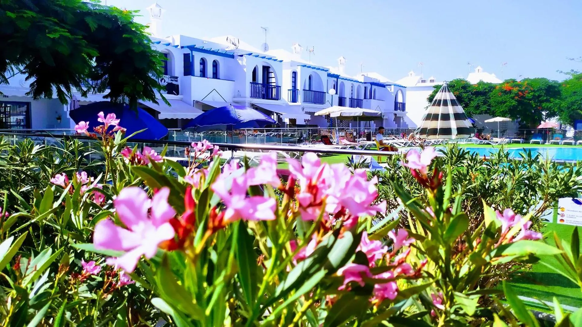 Apartament Playmar Tropical Maspalomas  Hiszpania